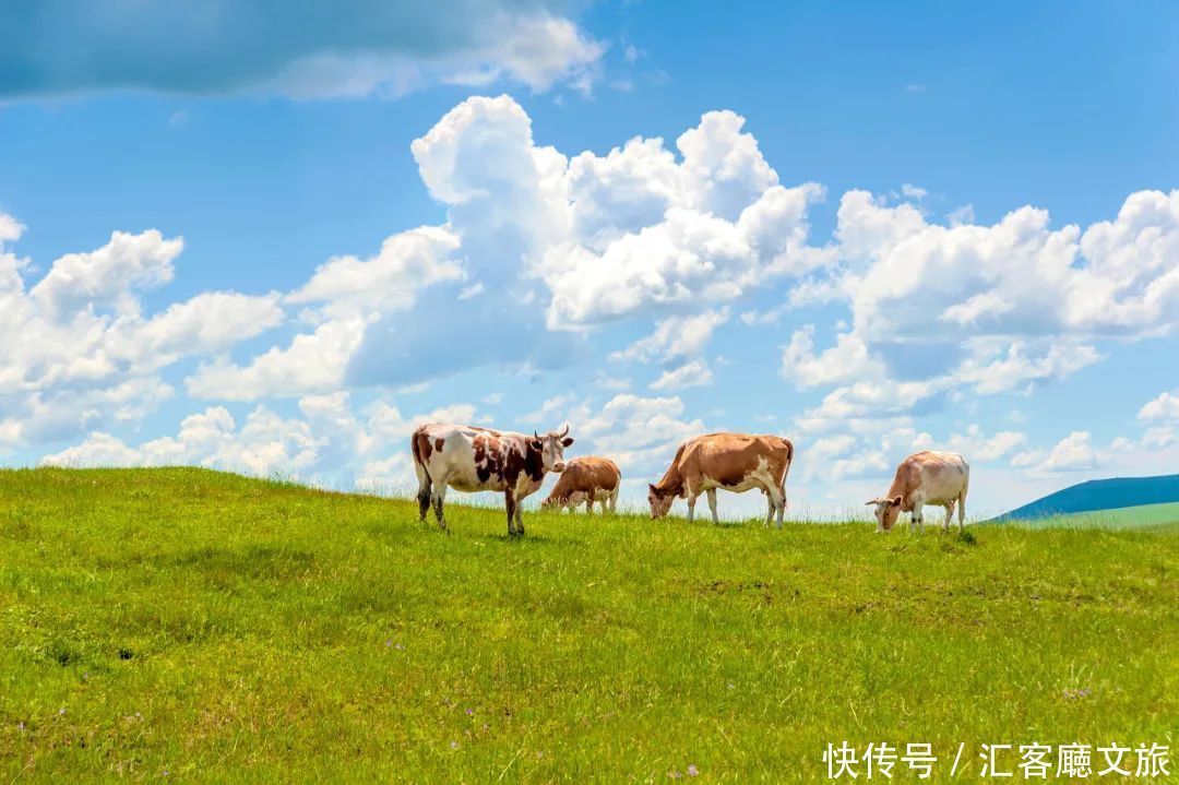 套娃|比巴黎浪漫，比俄罗斯童话，中国“最北”藏着一座宝藏城市