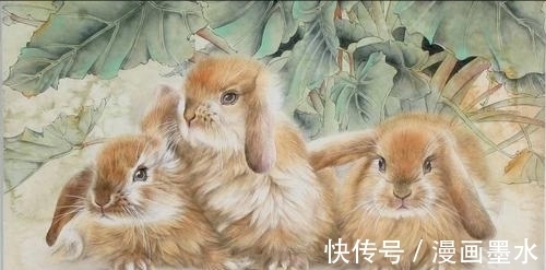 生肖|不同出生月份的生肖兔，在22年虎年运势大不同