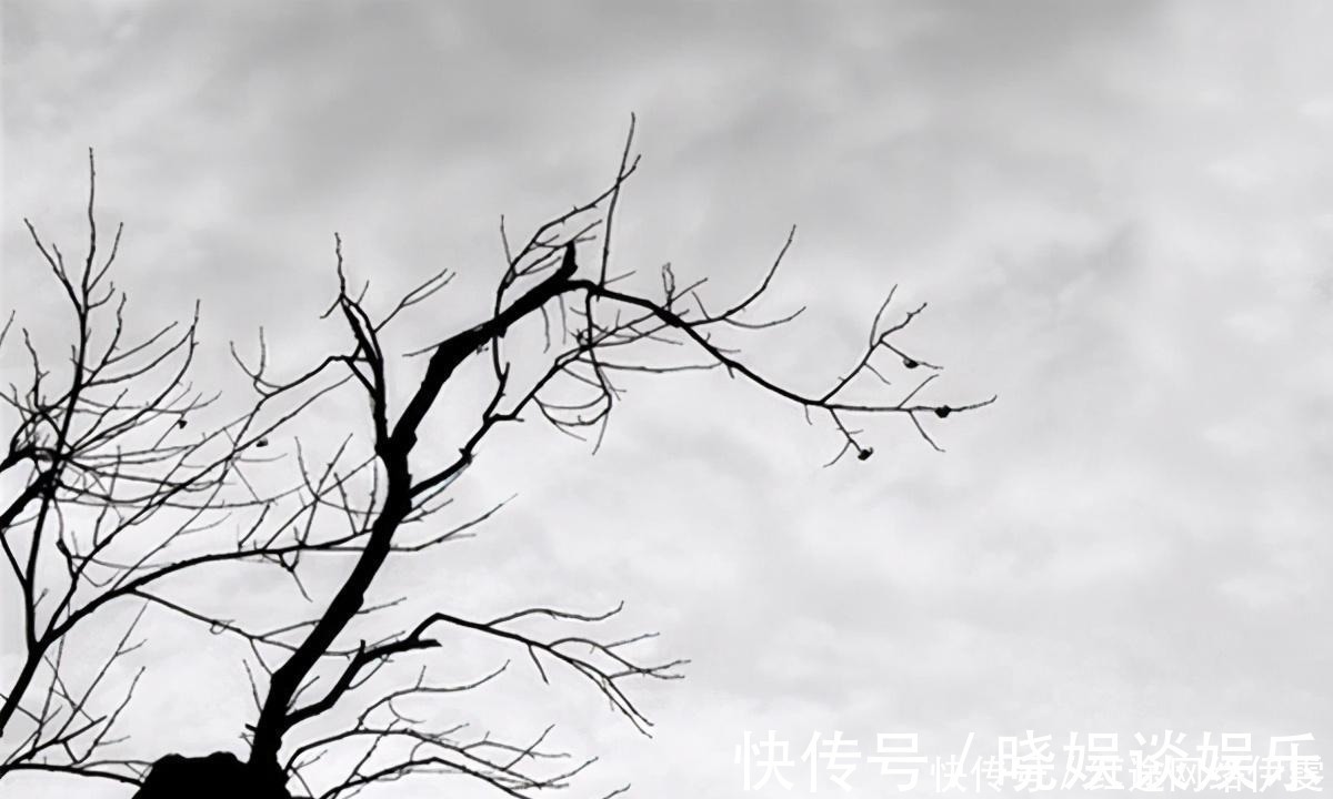 蝶恋花$晏殊《蝶恋花》乃婉约词极品,豪放词宗苏轼也作一首,可与之媲美