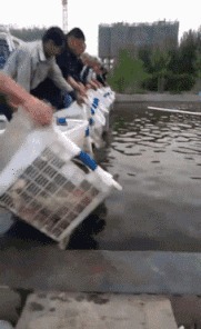 |搞笑GIF图:美女刚睡醒的样子vs你刚睡醒的样子!