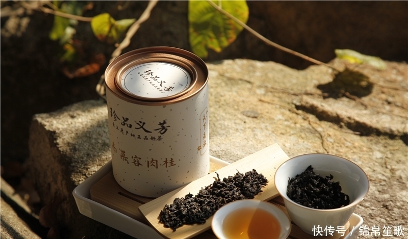 容易糟蹋好茶的五种行为,热茶冷泡排最后,排榜首的让人好心疼