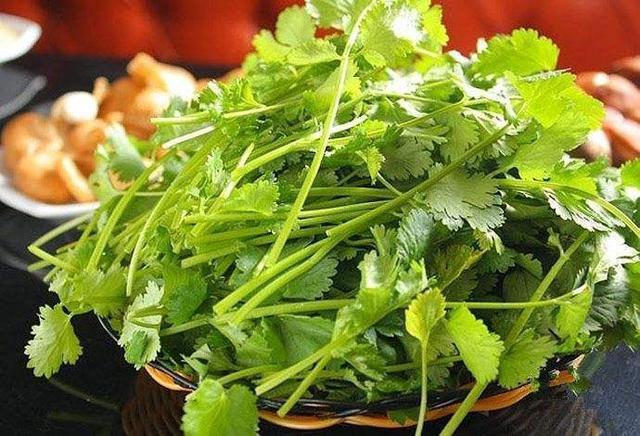 营养物质|香菜煮水太厉害了,竟有如此喜人的作用,值得分享给家人