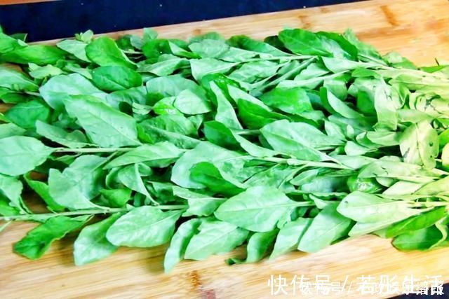 压力|压力大常失眠,隔三差五用此叶滚汤喝,养心安神,一觉睡到天亮