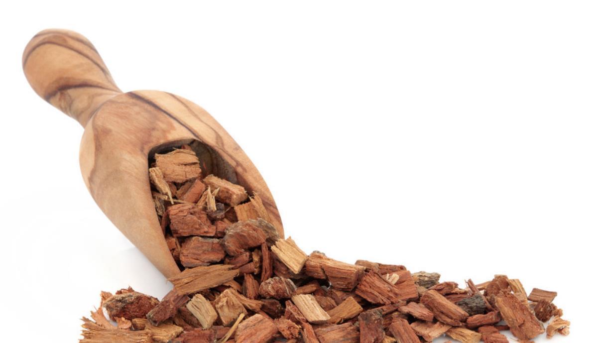 兰花上盆前有“三洗”,老手熟门熟路,新手听着有点懵