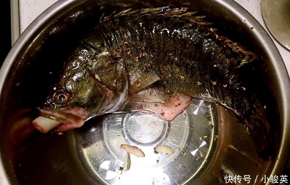 此鱼我国独有,人称“鱼中上品”,新鲜的没人吃,放臭后才是美味