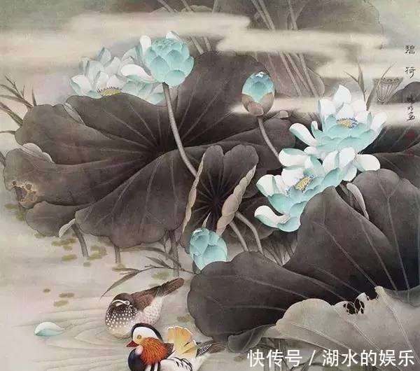 好漂亮的鸳鸯戏水图:祝愿天下有情人!