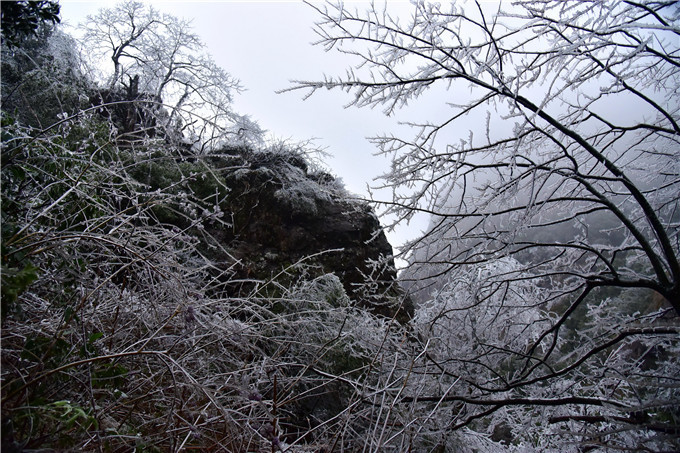 雪景|广东这几个地方这周可能会下雪，雪景最漂亮在这几个地方