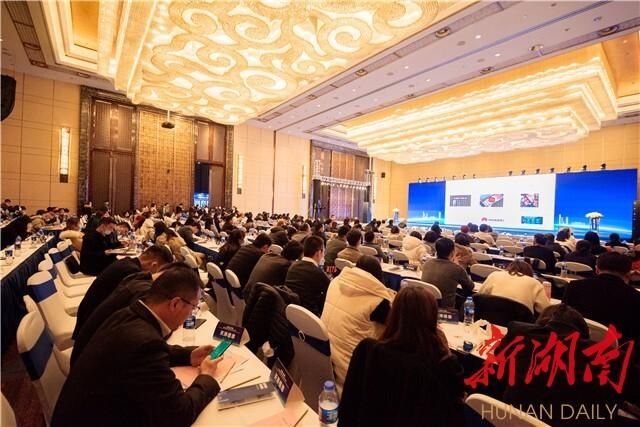 领航|数字跨境 金霞领航 打造“跨境电商第三城”重大项目签约活动举行