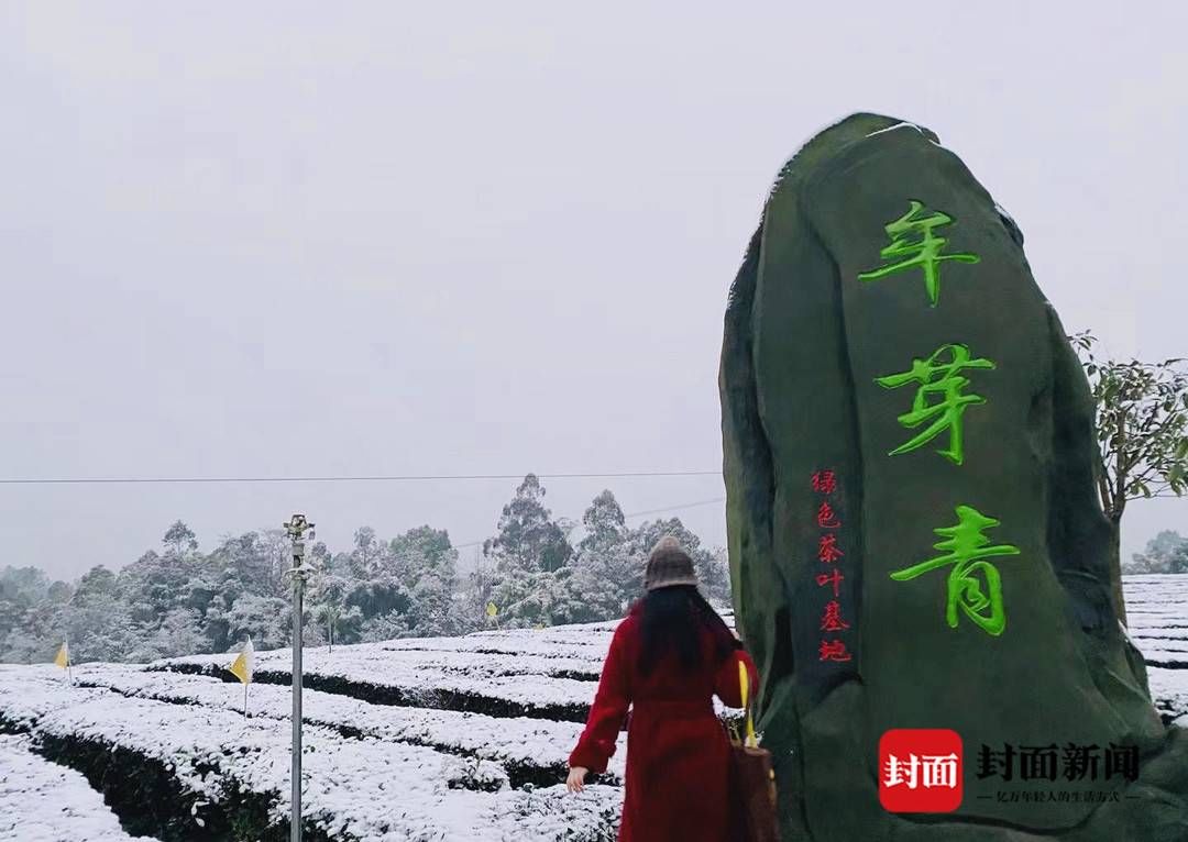 2021年初雪｜自贡人的快乐曾短暂来过，荣县山区一夜之后已银装素裹