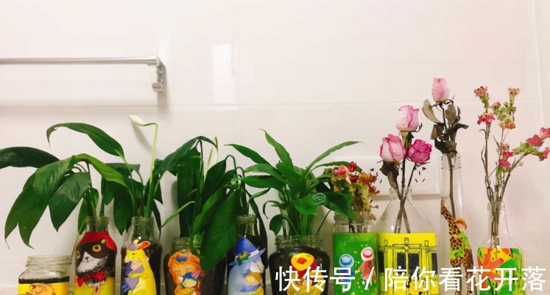 养花人都有的“迷惑行为”,只有爱花之人才懂,看看你中了几条