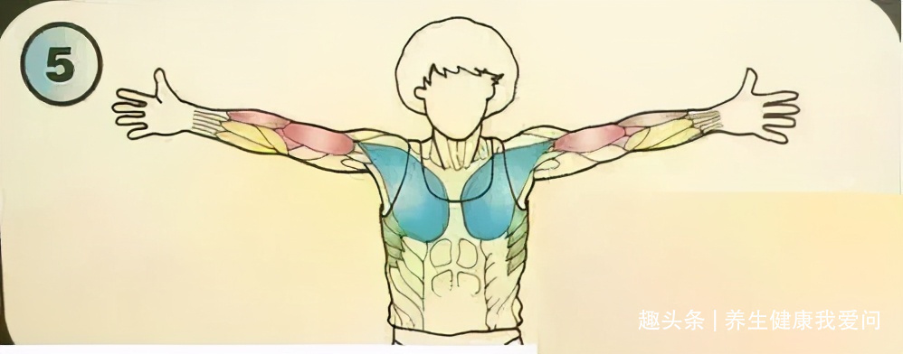 紧绷|一个最全养生拉筋动作,每天只需十分钟,筋长一寸寿延十年!