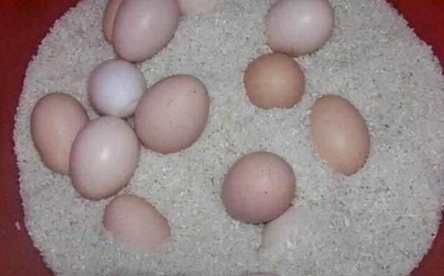 好神奇!把鸡蛋放进大米中,一个星期后,怎么也想不到会这样……