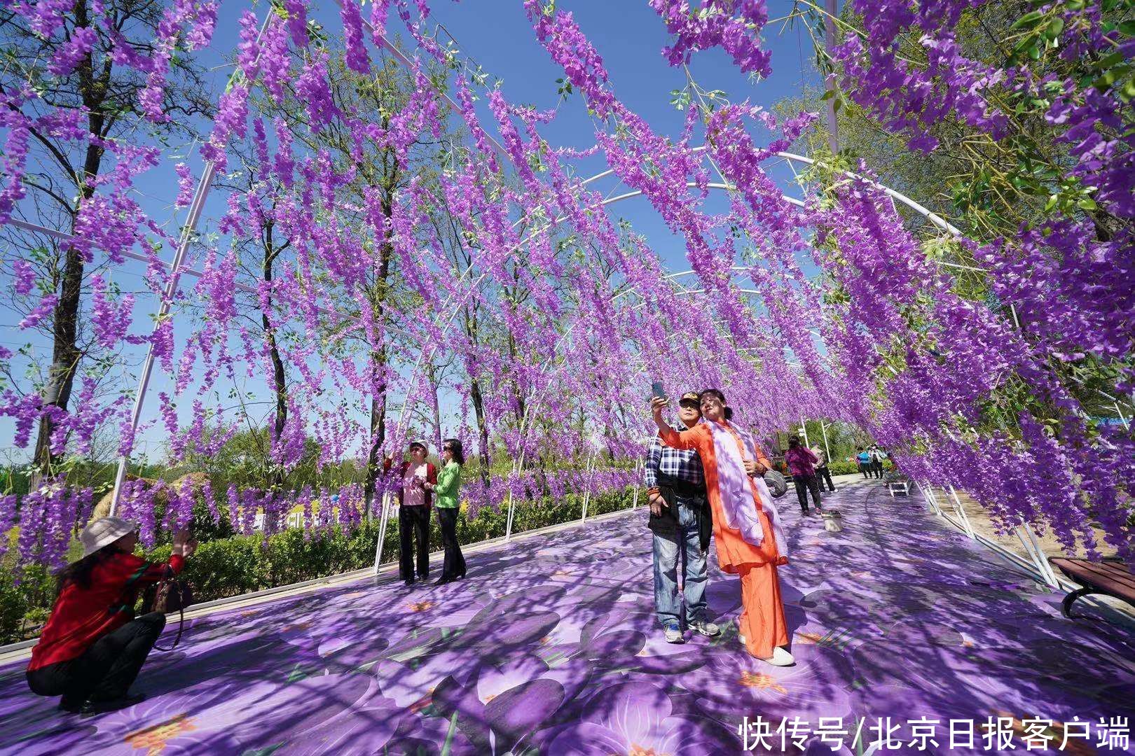 北京近郊最大的油菜花海盛放！快来丰台这个怪村“打卡”吧