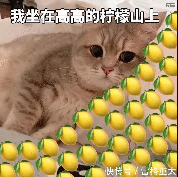 买房|香港楼市大变化！他们竟成买房主力军！