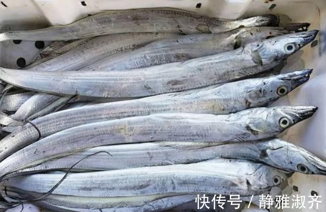 小孩|这5种鱼无杂刺，适合老人小孩吃，营养美味还补钙，人人吃得起