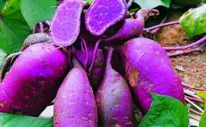 女人想年輕漂亮，不妨多吃10種“堿性食物”，美容祛皺養(yǎng)顏不顯老