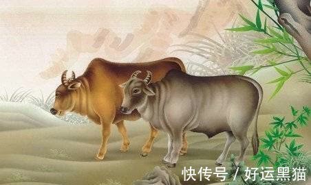 未来一年里，运势从低走高，吉星身边坐镇，扬名立万成富人的生肖