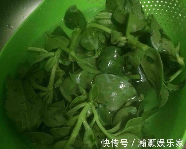 金耳钩|“天然阿莫西林”就是它,秋季常吃,强健体质,清热解毒