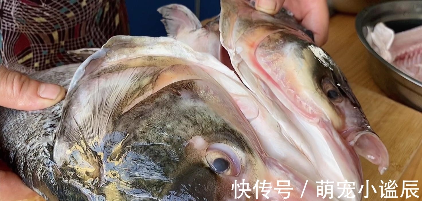 鱼身上“最营养”的部位,15一个没人要,懂行的人却抢着买!