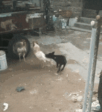 |搞笑GIF:妹子眼睛真优秀,怎么做到的?