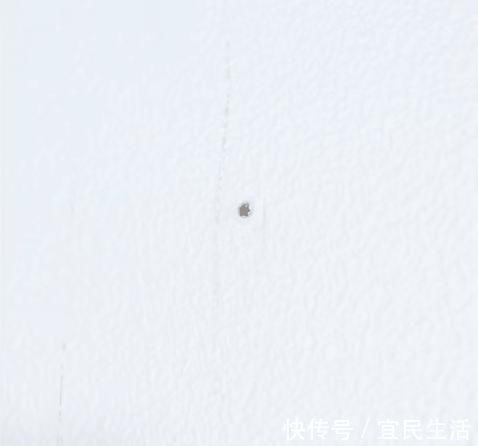 贴画|墙壁脏了不用重新粉刷,学会这几招,洁白如新~