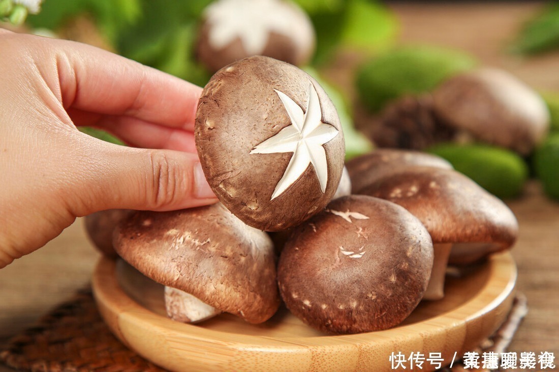 香菇|买香菇，挑大的还是小的？老菜农：牢记“3买4不买”，谁也不敢忽悠你