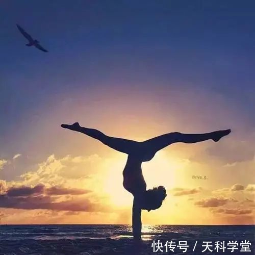 瑜伽|练习瑜伽,这些生理学原理你需要知道……