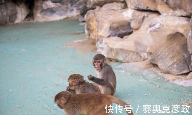 连州|湖南人乐此不疲旅游的广东景区，可媲美长江三峡和漓江山水，绝