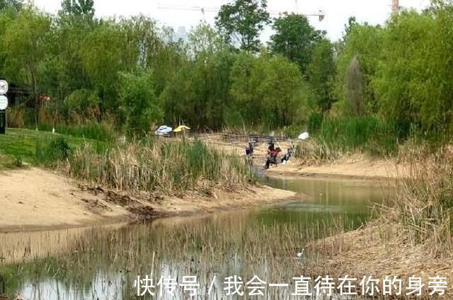 渔获|真气人野河打了重窝钓鱼,刚开始连杆别人把竿子抛进你窝里