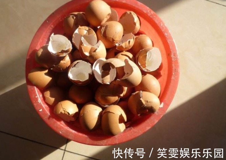 万能自制肥：蛋壳为原材料，制作过程是加热磨碎