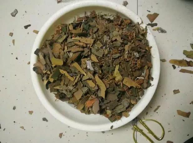 “不起眼”的东西垫盆底,营养土都省了,不再有烂根困扰!