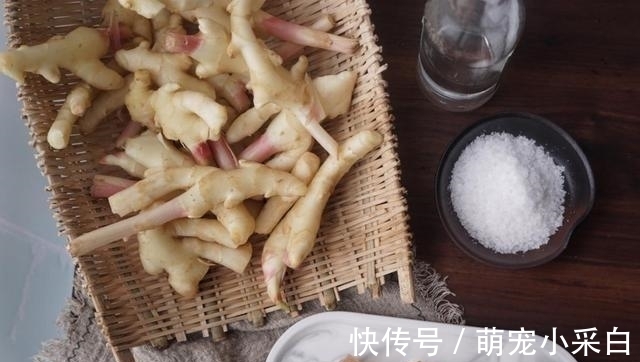 糖醋|入秋后，遇到此物我必买20斤，每天早上坚持吃两片，胜过喝参汤