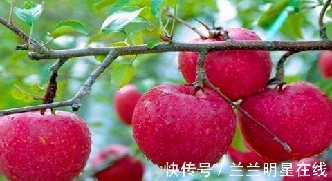 滋养|好食物吃出好身体,3种食物离不开,补充营养,滋养肌肤,气色好