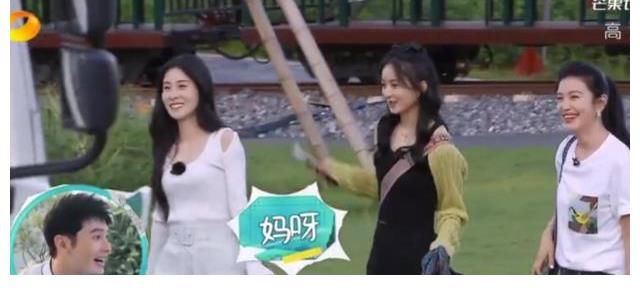 中餐厅5|《中餐厅5》新一期嘉宾太惊喜！赵丽颖再度回归，黄晓明：妈呀