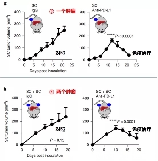 肝转移|让肺癌治疗失效的元凶竟然是它！逆转方法如此简单—抗癌管家