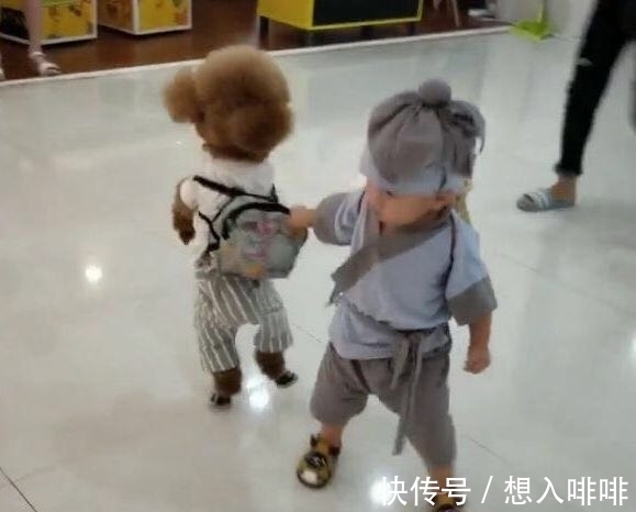 宝妈|宝妈带两个“宝宝”逛街,众人围观,走近细看后,乐得哈哈笑