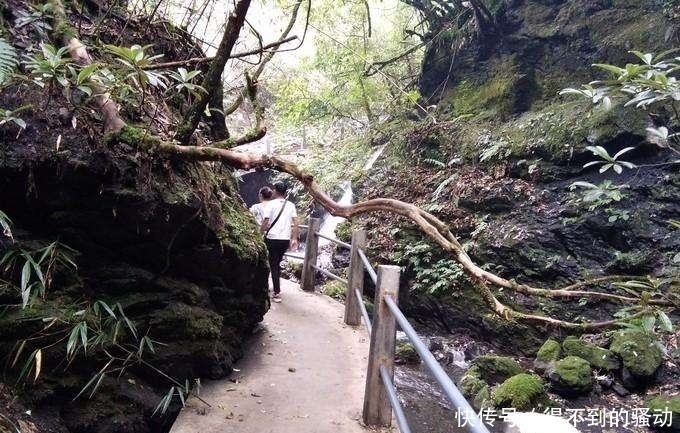 避暑|中国最美峡谷风景区-卧龙谷 最高的避暑休闲、清心养身的天然胜地