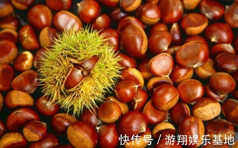 吃了20年的板栗才知道,板栗壳上有个“小机关”,小孩也能剥开