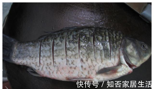 鲫鱼|夏天吃鱼最合适,加一块萝卜,不用油炸不用炒,3斤的鱼都不够吃