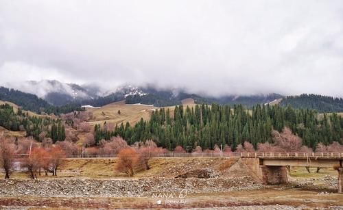 在新疆遇到暴风雪是什么样的体验？风景极美，路却很难开