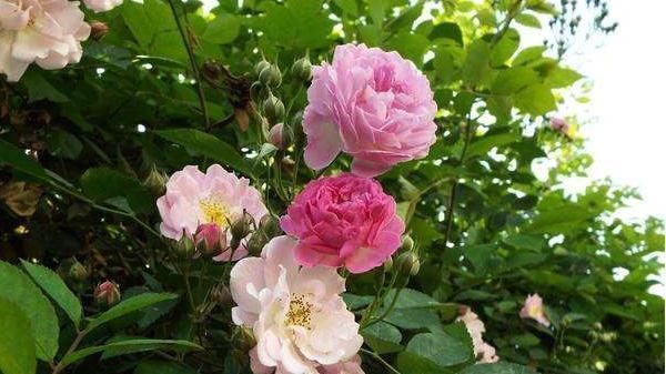 点心眼&为人处世,一定要留4个心眼,尤其是最后一个心眼一定要留