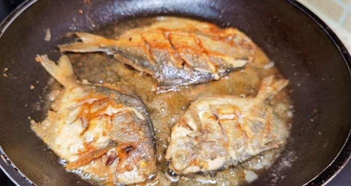 秋天碰到此鱼，我从不还价，一次准买5斤，营养极高，煎着吃最香