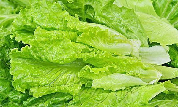 胆固醇|冬天女性应该吃的补水菜,补水养颜,促进皮肤光滑白嫩