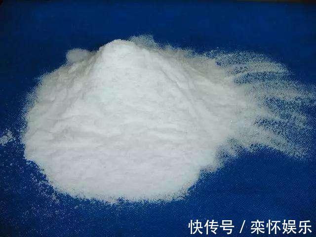 技巧|秋季如何养蟹爪兰,冬日才能花繁叶茂抓住3小技巧就够了