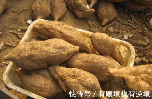 中老年人|藏在身边的天然“保肝王”，闲来喝一口，排出肝毒，肝病不来找