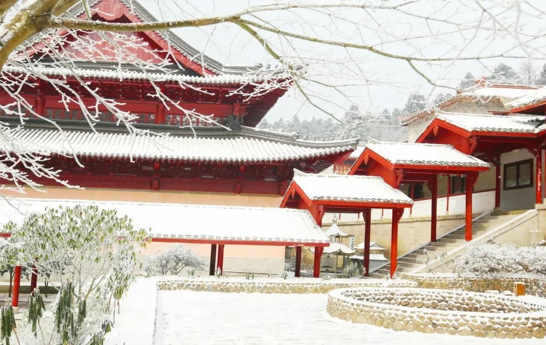 石梁美|一场初雪，天台石梁美成了画中仙~