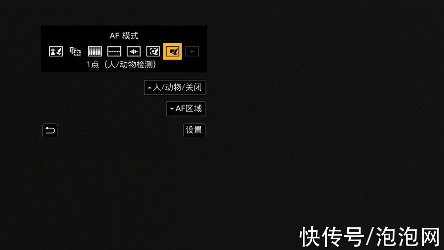 lut|初体验！松下LUMIX S5全画幅微单宠物视频拍摄