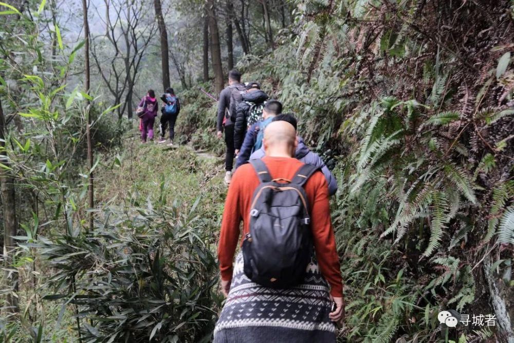 更喜南山千倾野，卅公里后尽开颜