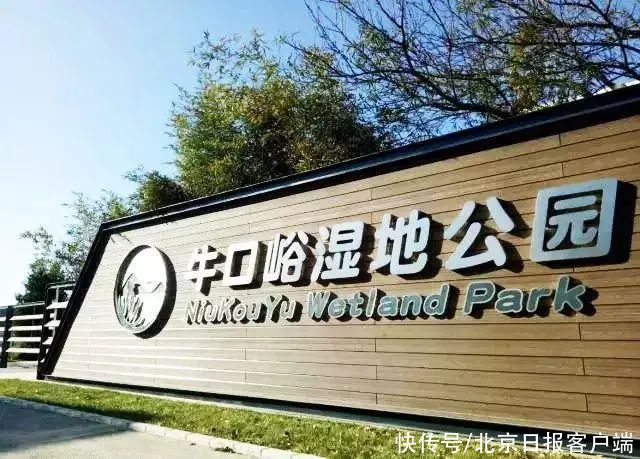 牛年寻“牛”，三环上的这座桥曾被叫作“牛王庙桥”