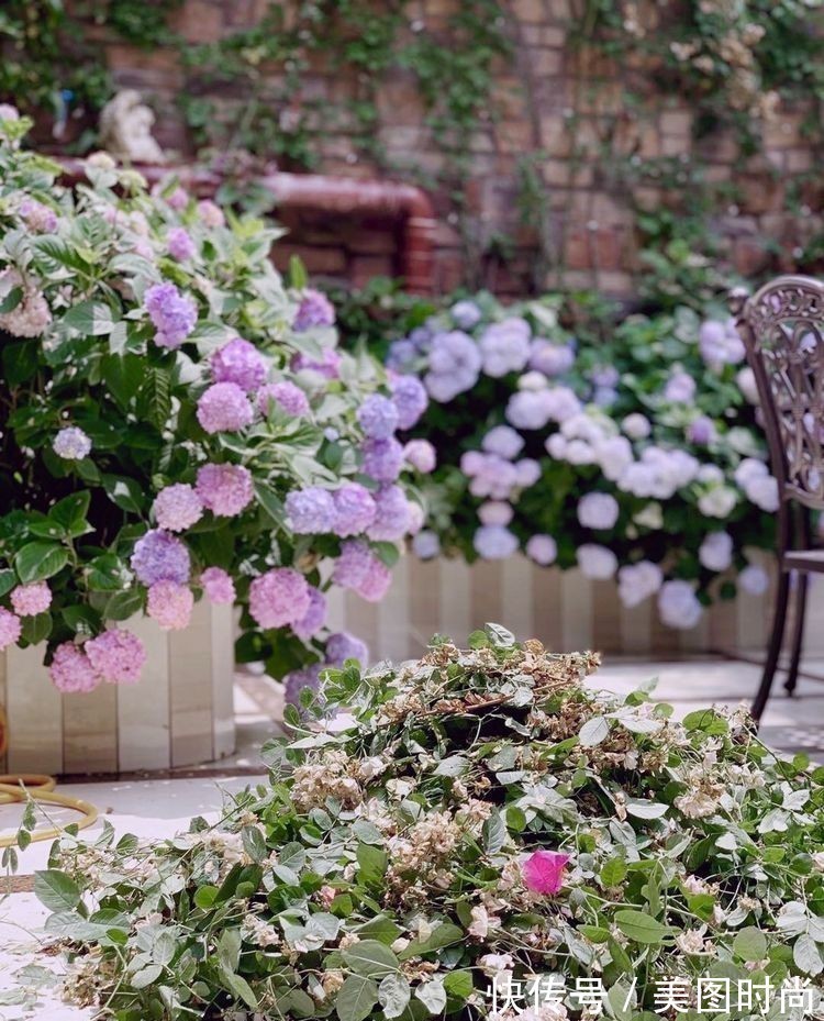 庭院改造:50㎡的下沉式庭院造花园,有地我也建一个,太好看了!